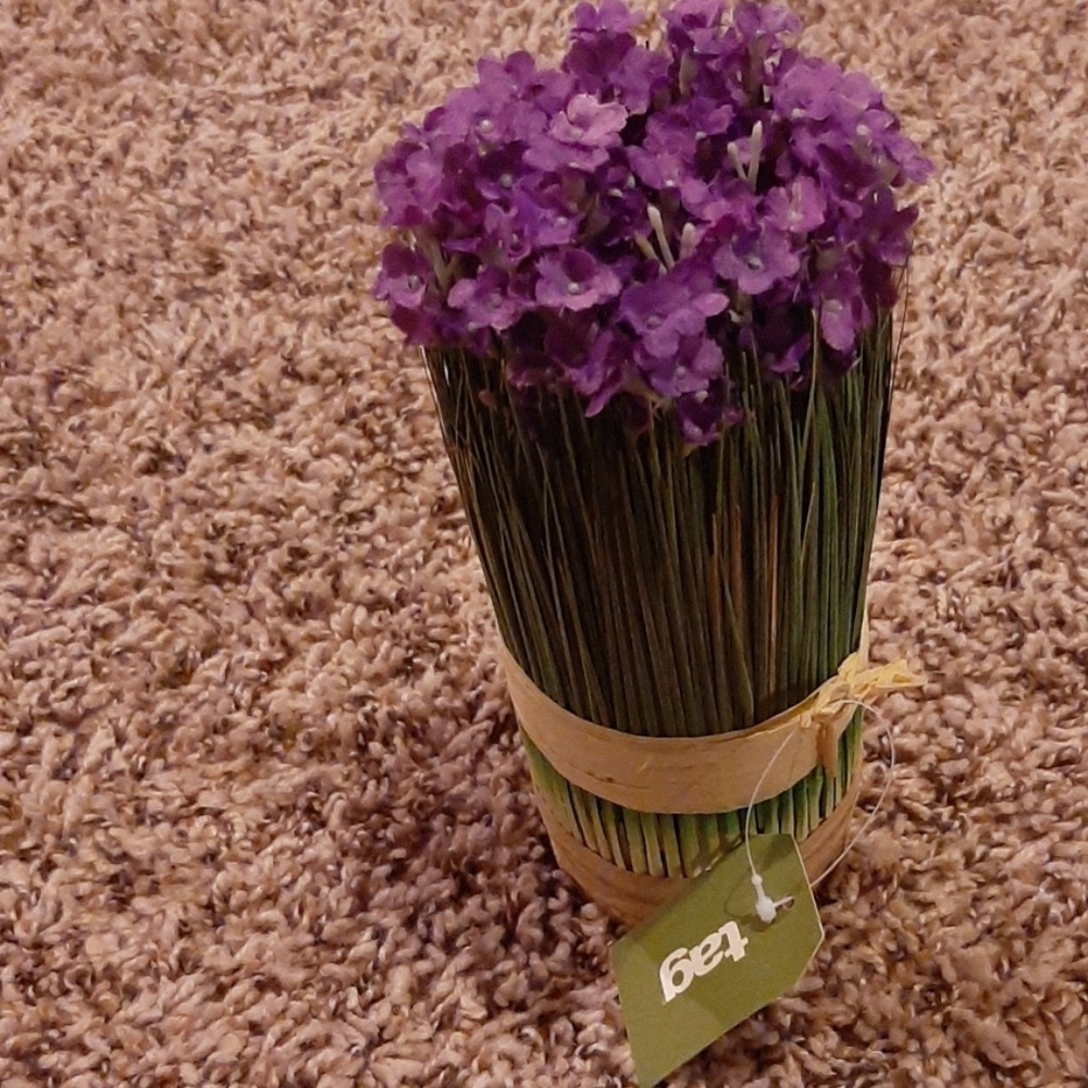 Bundled Strawlowers (2x)